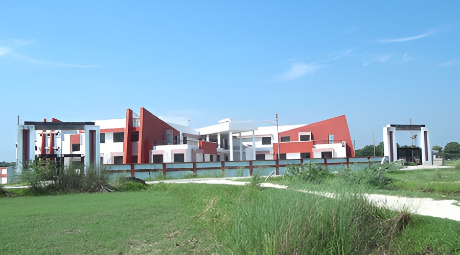 Slide Image